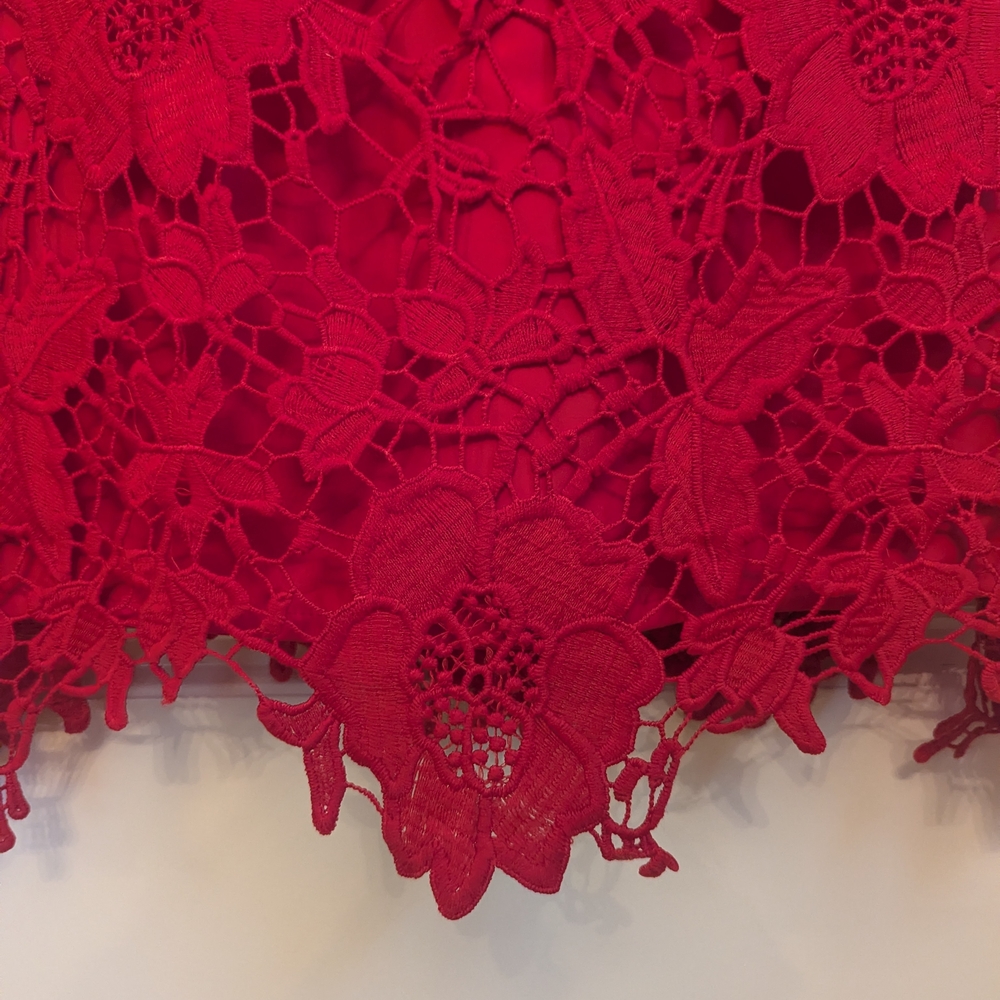 Elegant Red Lace Dress - Picture 2 of 6